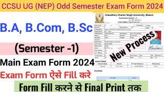 How to Fill CCS University Examination Form 202425  CCSU BA BCom BSc NEP Exam form fill up [upl. by Gnuhp]