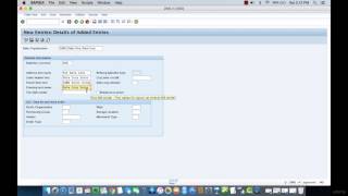 004 Creating a Sales Organization in SAP SD [upl. by Atiuqet]