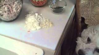 How to Make Crockpot Chicken Noodle Soup by Chef Dogmp4 [upl. by Gipson]