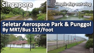 Solo excursion vlog  Seletar Aeropace Park Hemstead Wetlands Park Singapore travel ideas [upl. by Eissirhc594]