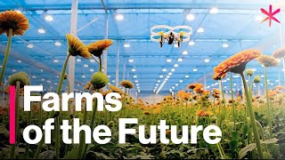 The Futuristic Farms That Will Feed the World  Freethink  Future of Food [upl. by Einaled]