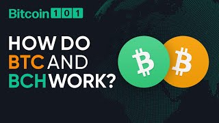 How do Bitcoin and Bitcoin Cash work  Bitcoin 101 [upl. by Dnalyar734]