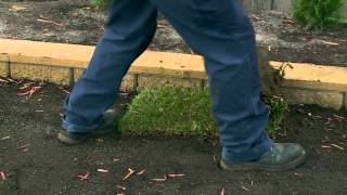 How To Lay Instant Turf  DIY At Bunnings [upl. by Ahseei120]