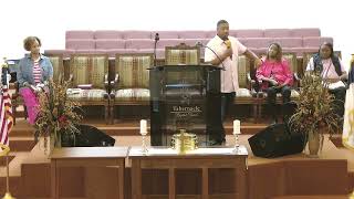 Pastor Horice Willis  The Amazing Power of Spiritual Sight [upl. by Moffit576]