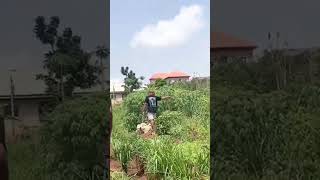 Buying a Land in Nigeria  Price of a plot of Land [upl. by Sedrul21]