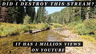 Returning to fish a stream with 1 MILLION views on YouTube  WHAT DAMAGE HAVE I DONE [upl. by Primo]