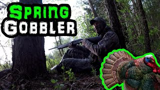 Spring Gobbler Virginia Turkey Hunt [upl. by Aitra239]