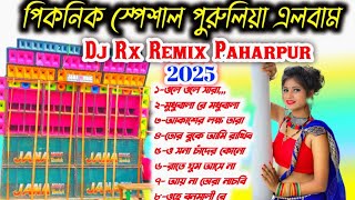 Picnic special Purulia New Album Dj Rx Remix 2025 [upl. by Ardnu]