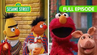 Elmo Finds the Missing Animals with Bert amp Ernie  Sesame Street Full Episode [upl. by Old]