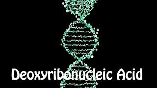 How to Pronounce Deoxyribonucleic Acid [upl. by Aved]