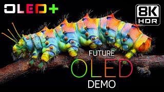 OLED SCREEN  Luxurious Clarity in 8K HDR  Dolby Vision™ [upl. by Bedell]