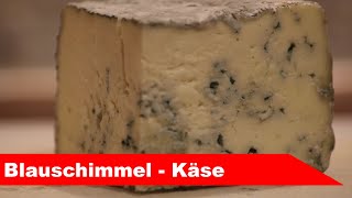 🧀 Schimmelkäse selber machen 🧀 mit Blauschimmel wie in Gorgonzola  Käse selber machen  Alles Käse [upl. by Adiela610]