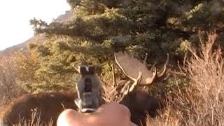 PISTOL VS BIG MOOSE [upl. by Aldwin]