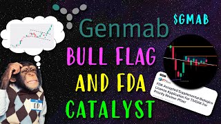 Genmab Stock GMAB Bull Flag and FDA Catalyst [upl. by Alameda]