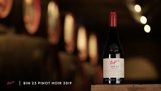 Meet our 2019 Bin 23 Pinot Noir  Penfolds [upl. by Serg173]