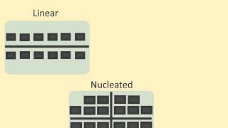 IGCSE Settlement Patterns [upl. by Neeruan299]