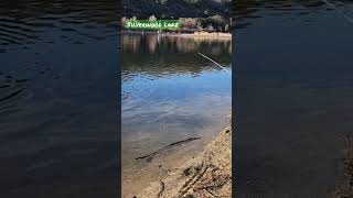 Silverwood Lake Fishing [upl. by Gracie]