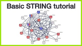 Basic STRING tutorial Protein query network views query parameters and enrichment visualization [upl. by Nived]