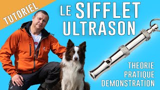 Comment UTILISER un SIFFLET ULTRASON pour CHIEN [upl. by Krigsman750]