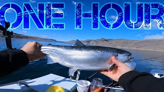 Discover the REAL Lake Roosevelt Fishing [upl. by Alleyne954]