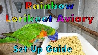 Rainbow Lorikeet Aviary Setup [upl. by Norel]