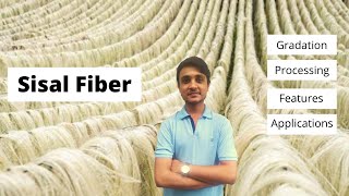 Sisal Fibre Production  Gradation  Processing  Features  Applications [upl. by Jami248]