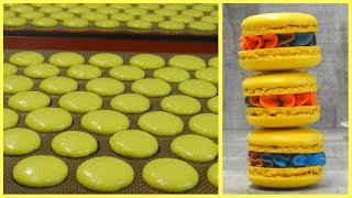 Foolproof French Macaron Recipe Perfect Every Time StepbyStep Guide [upl. by Enajaras208]