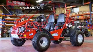 Trailmaster 300XRS GoKart [upl. by Verne784]