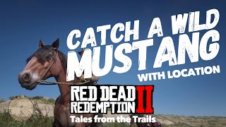 Red Dead Redemption 2 How to catch a wild mustang with location [upl. by Yniatirb738]