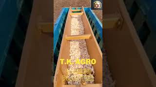 TK Agro Garlic Planter [upl. by Ardnosak514]