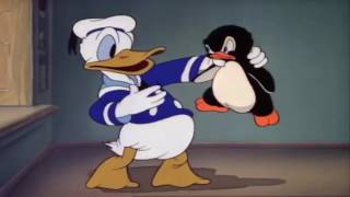 Donald Duck  Donalds Penguin  1939 [upl. by Copp]