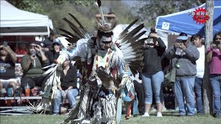 Mens Traditional Dancer [upl. by Anaerdna]