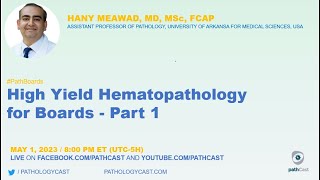 PATHBOARDS High Yield Hematopathology for Boards  Part 1 [upl. by Donn]