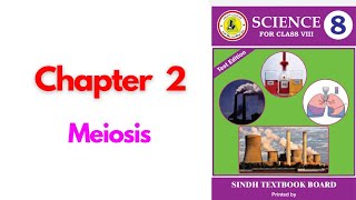 Meiosis  Chapter 2 8th Class Science Sindh Text [upl. by Strepphon]