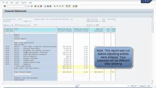 SAP Run Financial Statements [upl. by Penn]