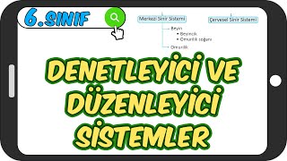 Denetleyici ve Düzenleyici Sistemler 📗 6Sınıf Fen 2023 [upl. by Yole]