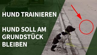 Hund trainieren ► Hund soll am Grundstück bleiben  ohne Zaun [upl. by Trauner124]