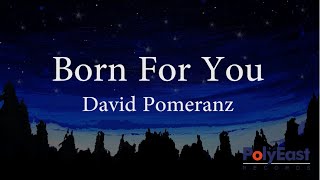 David Pomeranz  Born For You Official Lyric Video [upl. by Naves]