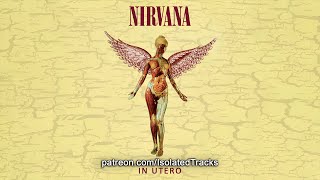 Nirvana  Heart Shaped Box [upl. by Suzann]