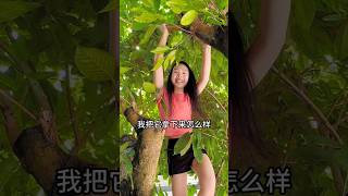 ফল পাড়তে গিয়ে গাছ থেকে পড়ে গেলামfruit [upl. by Corbet]