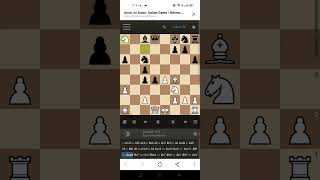 Italian game  Double Rook checkmate [upl. by Ozne]