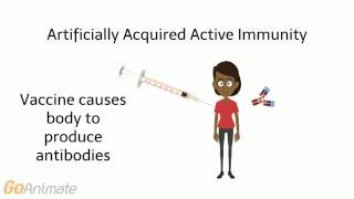 Antibody Mediated Immunity [upl. by Elfont29]