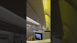 Voo em Classe Executiva da TAP AIR PORTUGAL viagem shorts flight [upl. by Noelyn]