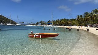 Mayreau and Tobago Cays by Catamaran [upl. by Anihpesoj340]