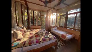 Daldali  Rukhad Jungle Camp  Pench National Park [upl. by Eremahs]