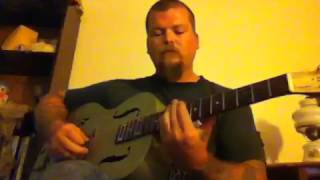 Charlie Daniels Long Haired Country Boy Dobro solo cover [upl. by Hawger]