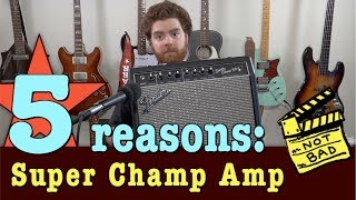 5 reasons I love the Fender Super Champ Amp [upl. by Hilary]