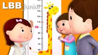 Measuring Your Height Song  How Tall Are You  Original Songs  By LBB Junior [upl. by Cleon]