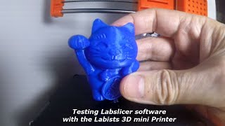 LABISTS 3D Mini Printer Using Labslicer Software Review [upl. by Cox887]