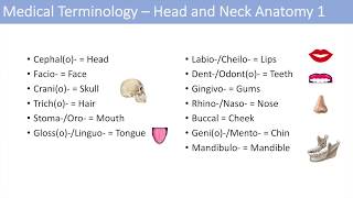 Medical Terminology  Lesson 6  Anatomy and Anatomical Terms [upl. by Kristan]